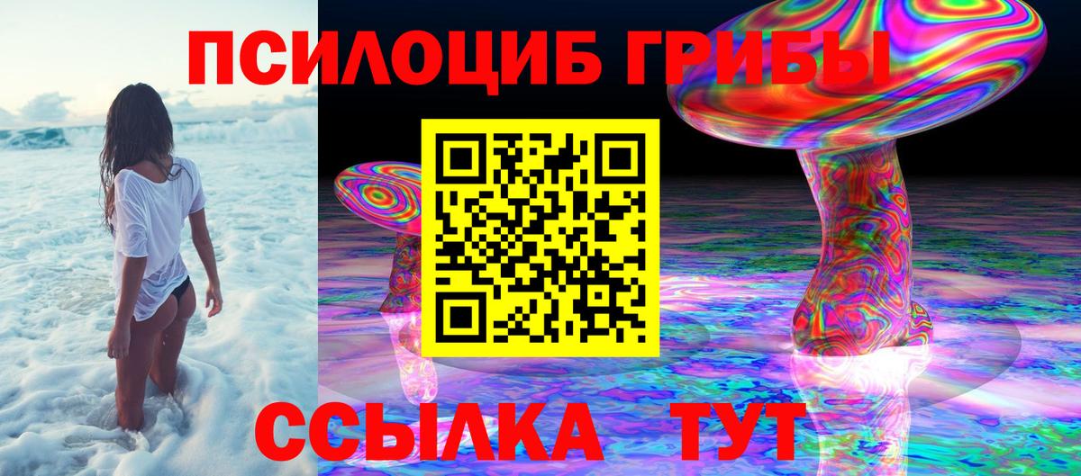 Зерноград  Псилоцибиновые грибы Psilocybe  Вход с VPN 